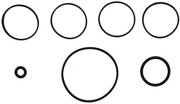 К-кт прокладок IN кол. Fiat Grande Punto 1.2 05-