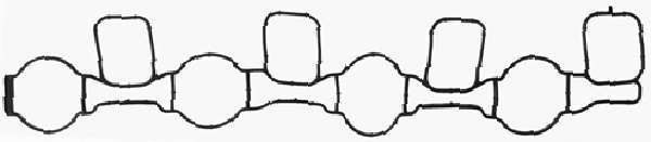 Прокладка IN колектора VAG 2.0TDI 02.03-