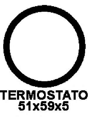 Прокладка, термостат