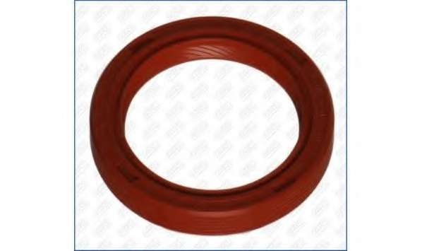 Уплотняющее кольцо, коленчатый вал. Уплотняющее кольцо, распределительный вал