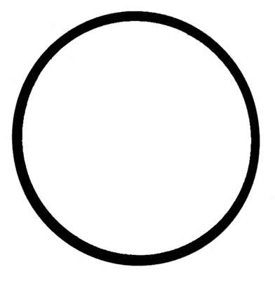 Прокладка IN колл.(зовнішня) BMW 3.0D (E90, E90N) 05-/X3 (E83, E83N) 04-