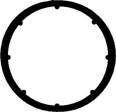 Прокладка коллектора впускного Renault Kangoo 1.4i 97-