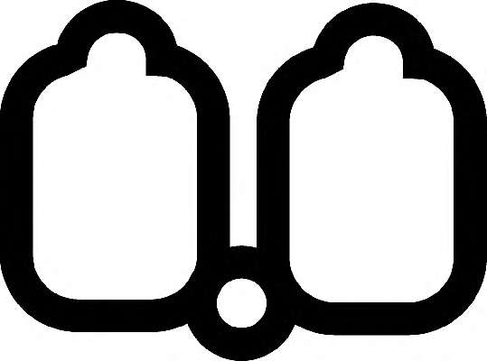 Прокладка коллектора впускного Fiat Ducato/Peugeot Boxer/Expert 1.8/2.0 94-