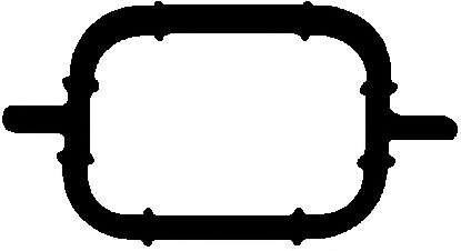 Прокладка IN колл.(внутрішня) BMW 3.0D (E90, E90N) 05-/X3 (E83, E83N) 04-