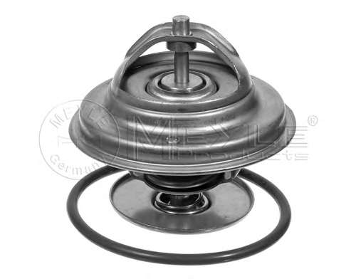 Термостат MB S-class (W140) 93-97 (79°C)