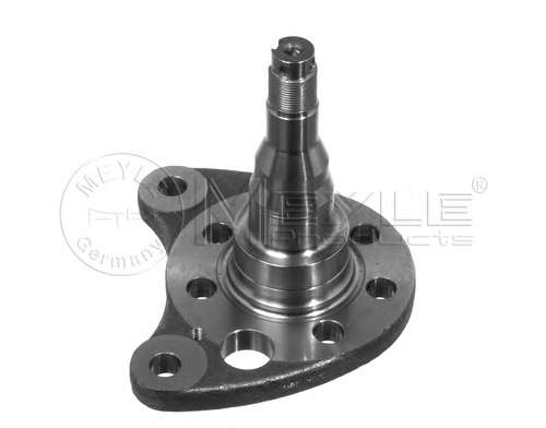 Кулак поворотный (цапфа) VW Passat 84-97 (L) (задний)