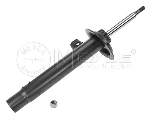 Амортизатор (передний) BMW 3 (E46) 98-05 (L)
