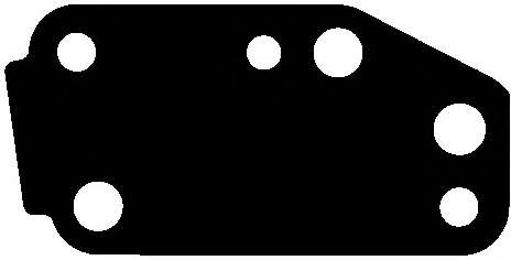 Прокладка помпы воды Ford Transit 2.4 TDCI 00-06