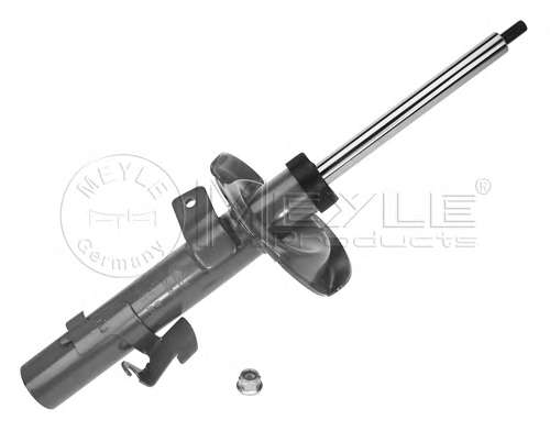 Амортизатор (передний) Ford Focus 03- (L)