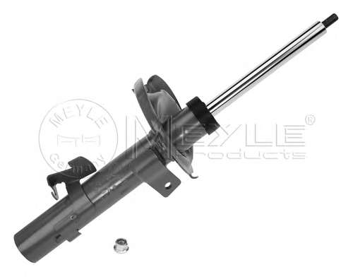 Амортизатор (передний) Ford Focus 03- (R)