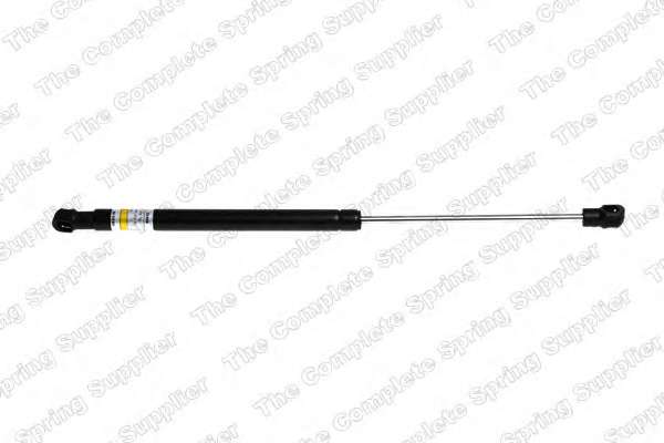 Амортизатор крышки стекла багажника Renault Scenic II/Grand Scenic II 03-09 (вэн)