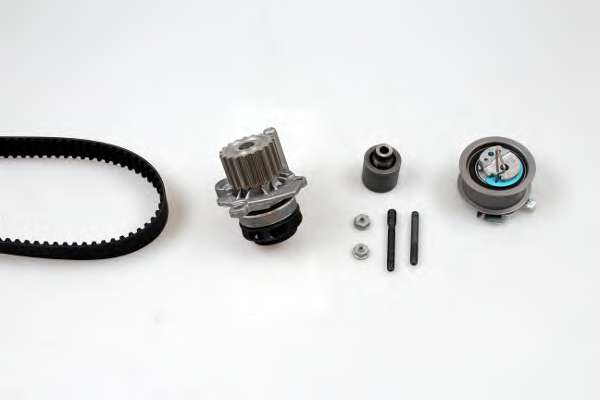 Комплект ГРМ + помпа VW Golf IV/Passat 1.9TDI 00-05/Seat Leon/Ibiza 1.9TDI 00-08 (120x30)(P551)