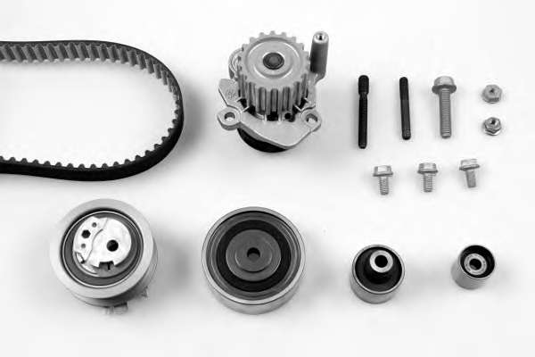 Комплект ГРМ + помпа VW Golf VI/Skoda Octavia/Superb/Audi A3 2.0TDI 04-13 (160x25)(P569)