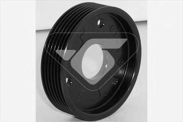 Шкив насоса ГУР Renault Kangoo 1.9D/dCi (d=93mm) (6PK)