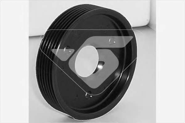 Шкив насоса ГУР Renault Master 2.2DI (103mm)(6PK) (OE внутри)