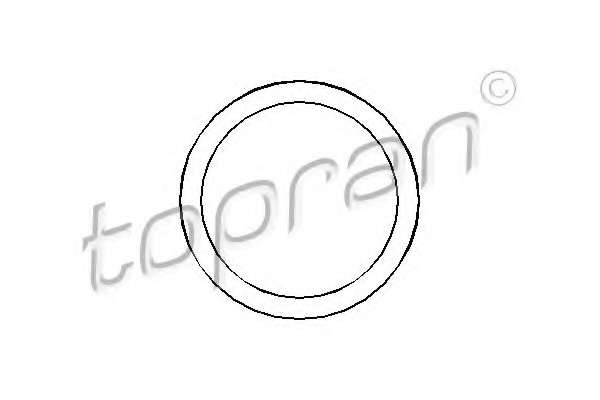 Уплотнительное кольцо