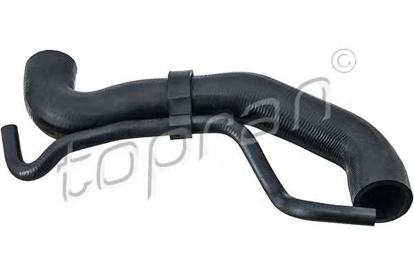 Шланг радиатора