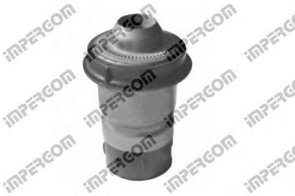 Сайлентблок балки (передней/сзади) Renault Scenic II/Renault Megane II 02-