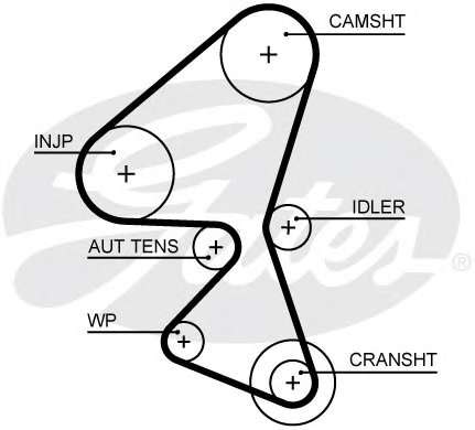 Ремень ГРМ Citroen Berlingo/Jumpy 1.6HDI 10- (z=141)
