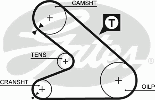Ремень ГРМ Fiat Ducato 2.5D -94 (z=118)