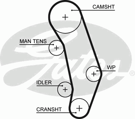 Ремень ГРМ VW T4 2.5i 90-96