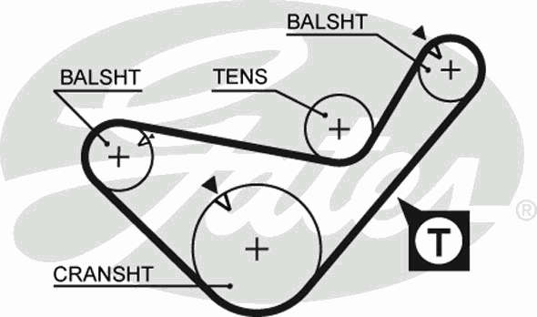Ремень ГРМ Mitsubishi Colt/L300/L400 2.5TD