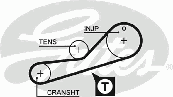 Ремень ГРМ Ford Escort/Fiesta/Mondeo 1.8D -98 (22x85)