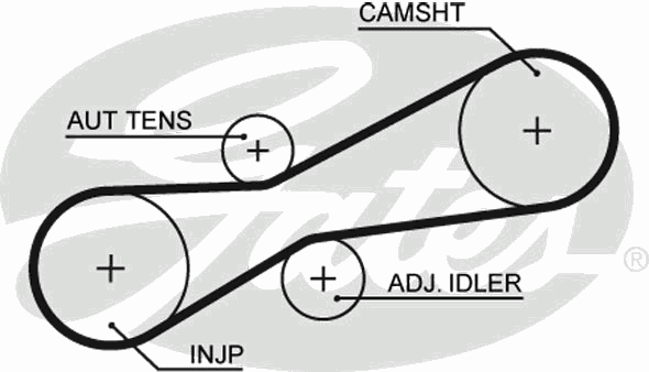 Пасок ПНВТ 81z VW 2,5TDI 95-